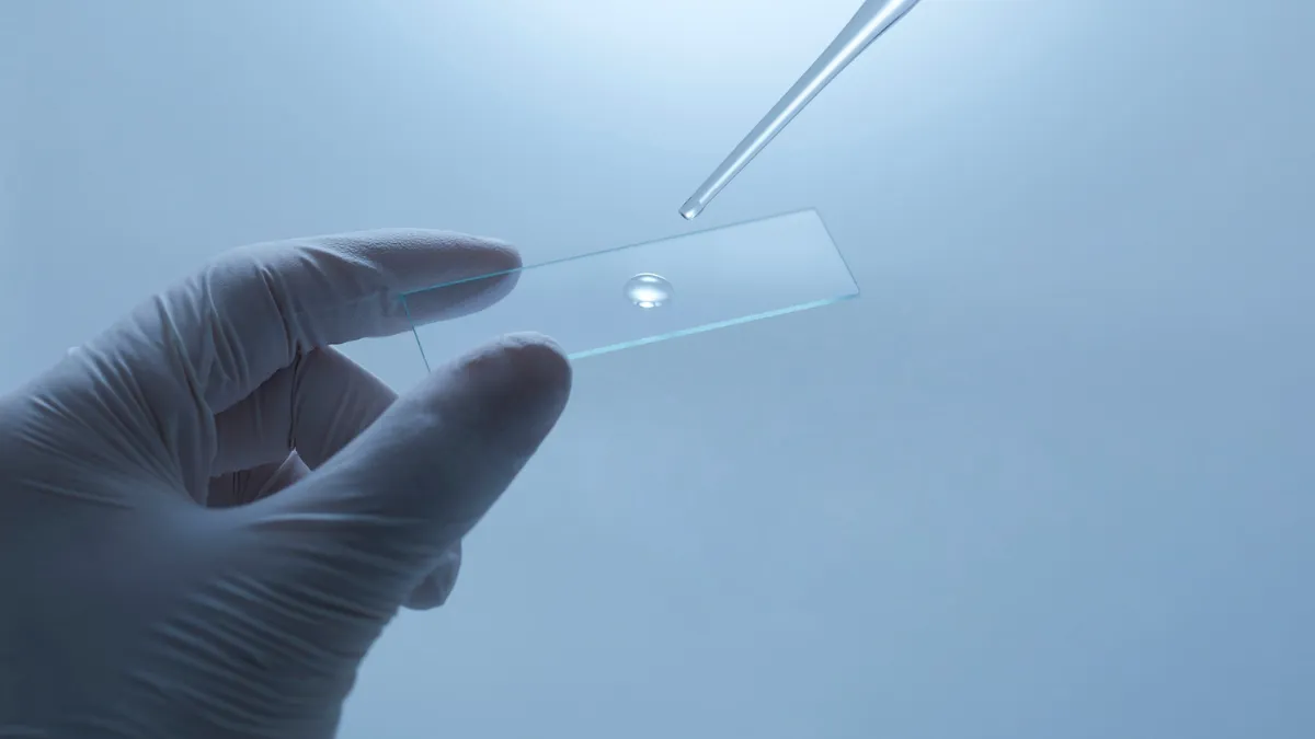 Mini scientists exploring chemistry and physics through home activities